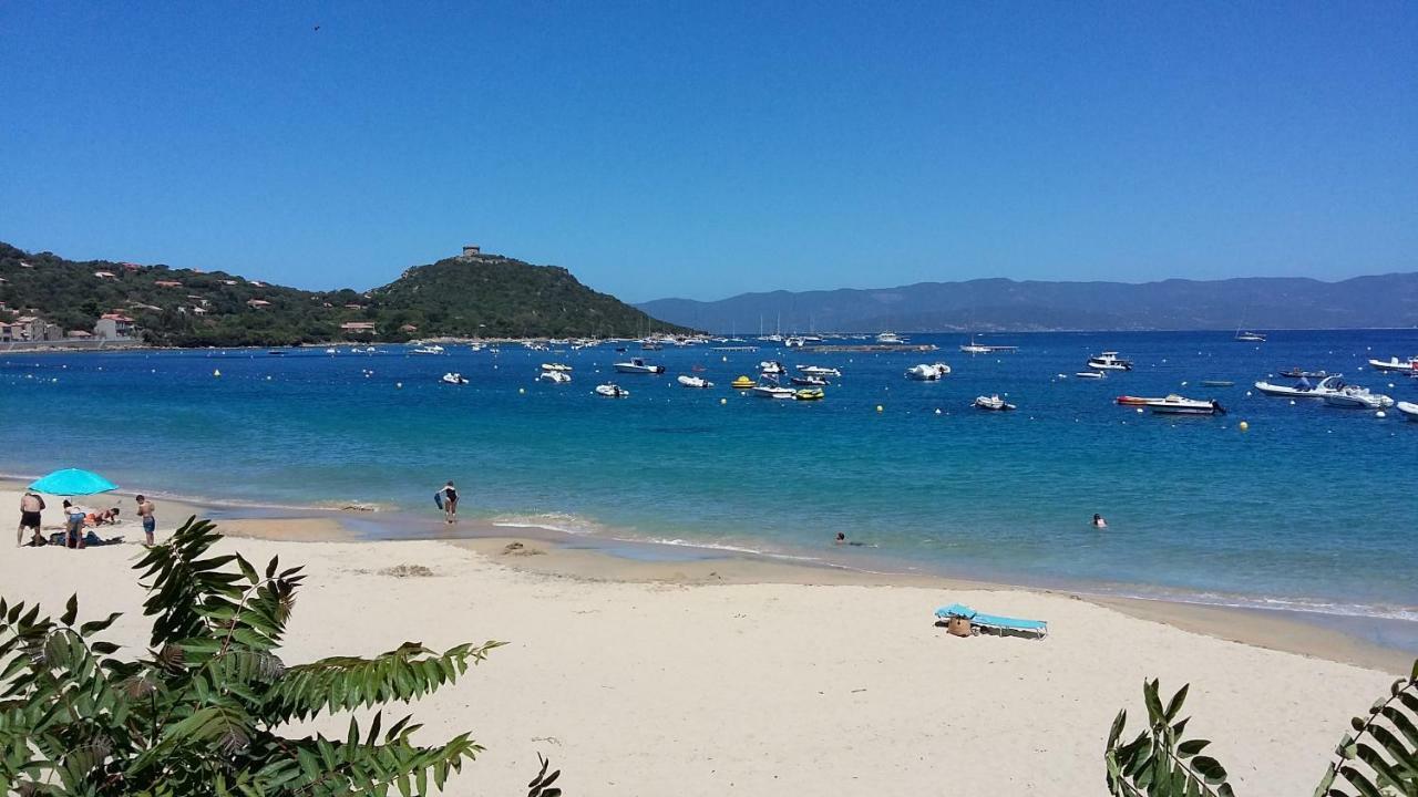 Corsica Monti Gite Appart Petreto-Bicchisano Exterior foto